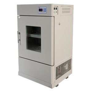 立式双层摇床BSD-YX3200